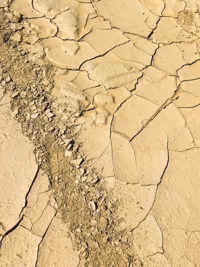 Dry soil
